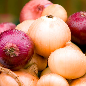 Curatat fructe si legume Germania
