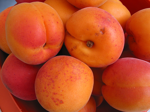 Culegatori fructe Germania
