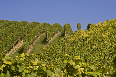 Muncitori la vita de vie Germania