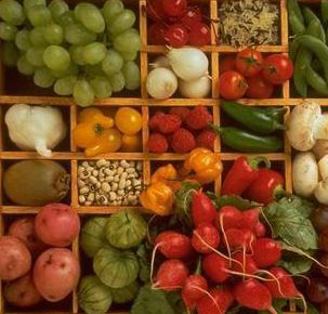 Plecari luna iunie in strainatate,agricultura!