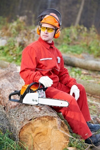 Angajam in domeniul forestier,strainatate