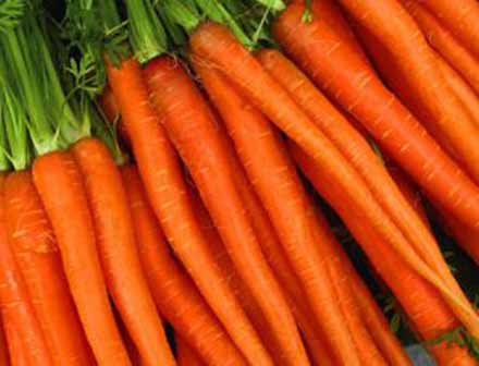 Munca Germania studenti agricultura