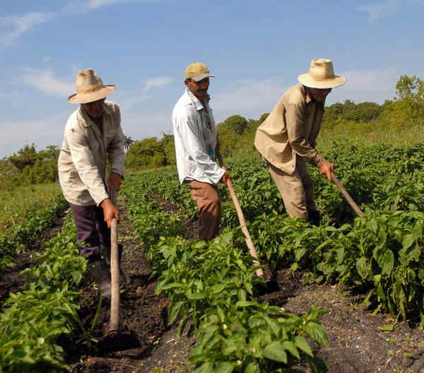 Munca in strainatate,agricultura!