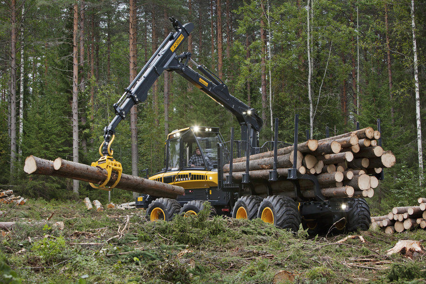 Munca domeniul forestier in strainatate