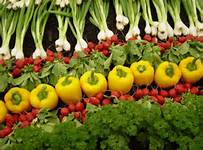 Angalam sezonieri pentru agricultura