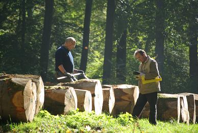  Tocmai Munca Forestier,Strainatate