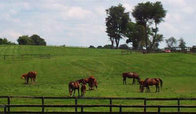 Urgent  INGRIJITOR CAI  Bremen 1200 EUR