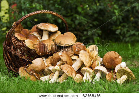 Contracte de Munca , Urgent Iulie 