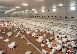 Agricultura Italia