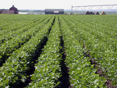 Munca in strainatate,agricultura!