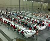 Angajam in fabricile de ciocolata operatori