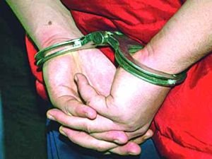 Traficantii de droguri din reteaua 