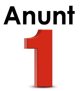 Afisarea produsului sau serviciului dvs in 200 siteuri anunturi