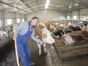 Ingrijitori ferma animale ? Luxemburg, Germania