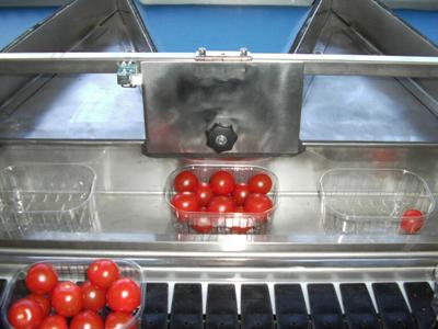 Prelucrare legume si fructe Germania!