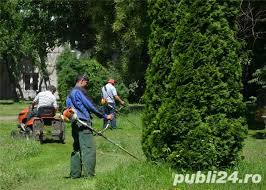  Posturi vacante spatii verzi