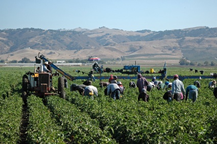  Agricultura Italia 2014!