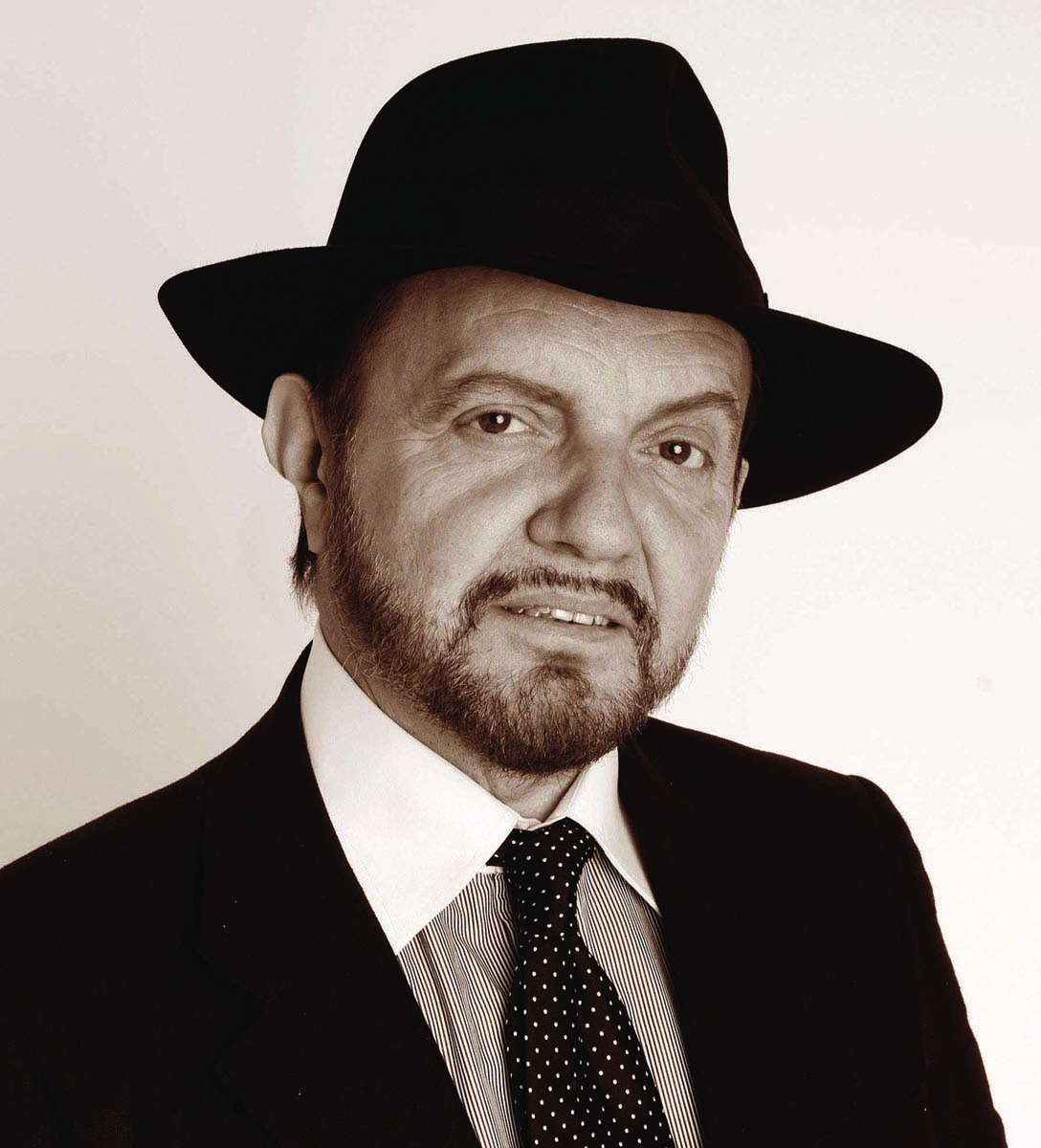 Stefano Anselmo - Il Maestro