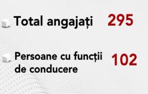 Scandalul salariilor ANRE: din cei 295 de angajati ai ANRE, 102 ocupa posturi de conducere