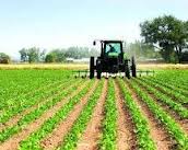 TRACTORIST GERMANIA