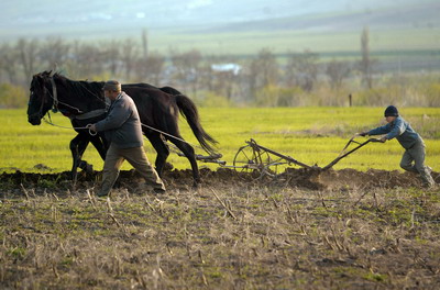 CAMP AGRICULTURA ITALIA 
