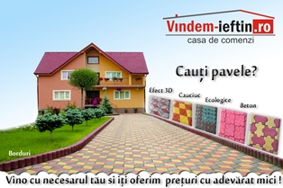 Borduri pavaj de 60mm diferite modele si culori