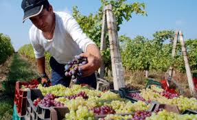 Agricultura Germania