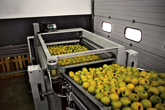 Personal necalificat in hale