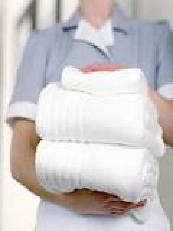 Ajutor menaj in Germania 1100