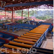 SORTARE CHERESTEA GERMANIA NECALIFICATI