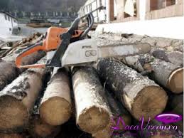 Fabrica cherestea Germania