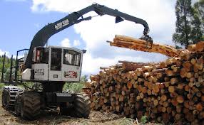 sortator cherestea Germania 