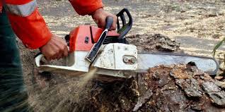 Drujbisti 1.200 Euro in Germania