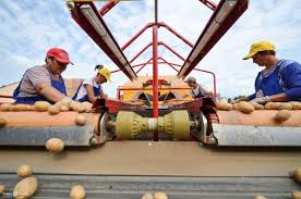 Agricultura Germania