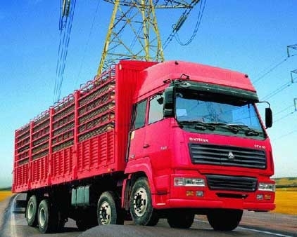 Sofer camion Germania