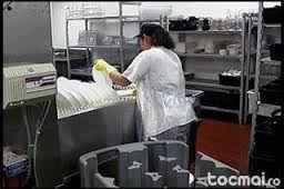 Ajutor bucatarie pizzerie Germania