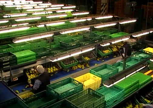 Munca agricultura in Germania