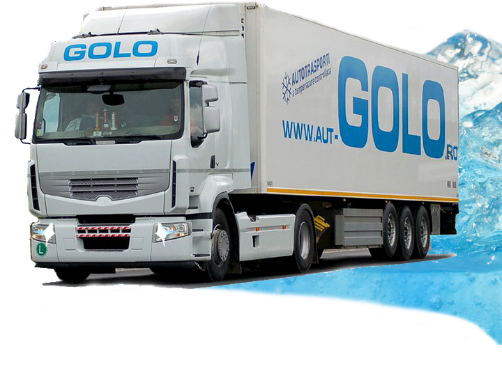 sofer transport frigorific Germania
