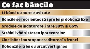 Bancile se reorienteaza catre creditele in lei cu dobanda fixa