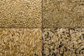 Produsele din ovaz trateaza impotenta