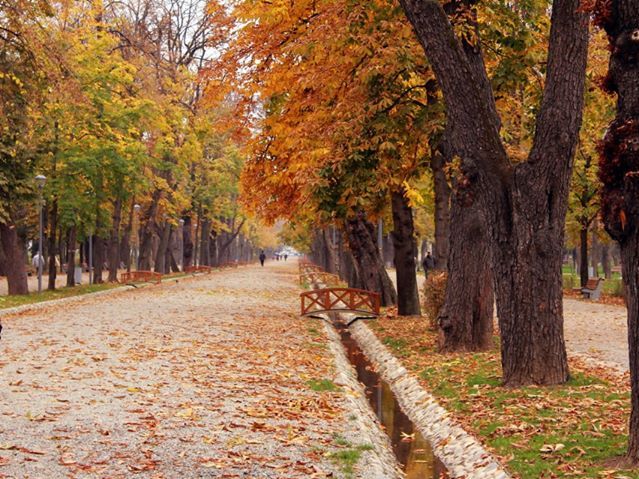 Intretinere parcuri Germania