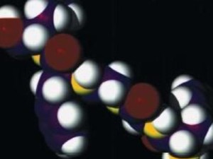 Proteina care ucide celulele umane, un posibil tratament anticancer