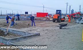 Pavator Germania