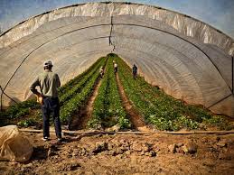 Agricultura Germania