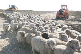 Autostrada spre munte s-a impotmolit in camp din cauza pecenegilor si a lipsei banilor