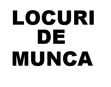 Calificati,necalificati,cupluri-Strainatate,