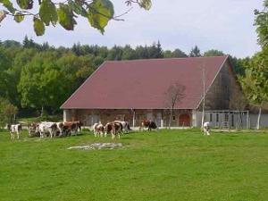 munca in ferme