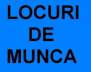 Calificati,necalificati,cupluri-Strainatate,