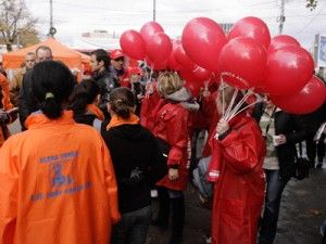 Tensiuni intre simpatizantii Elenei Udrea si ai Luminitei Anghel