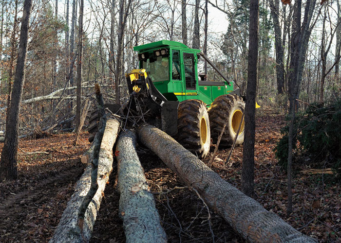 Forestier strainatate